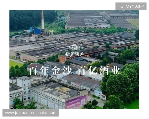 金沙公司官网客户服务与技术支持渠道全攻略为用户提供便捷高效的帮助